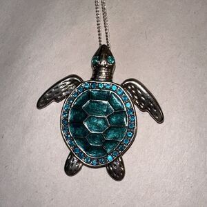 Aqua Colored stone Turtle Necklace